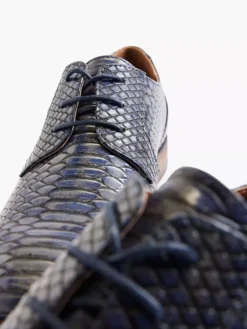 Blauwe Veterschoen Slangenprint -Vanharen 2162271 H5