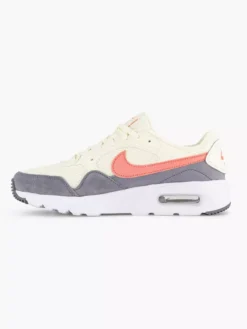 Nike Grijze Air Max -Vanharen 2197723 H2