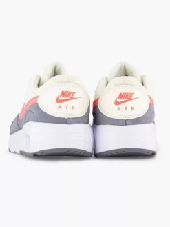 Nike Grijze Air Max -Vanharen 2197723 H4