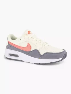 Nike Grijze Air Max -Vanharen 2197723 H6